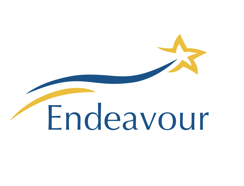Endeavour Search Limited